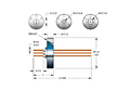 2 Pins and 1.1 Ampere (A) Conductor Current and ConFlat Flange Installation Instrumentation/Power Feedthrough (17046-01-CF) - 2